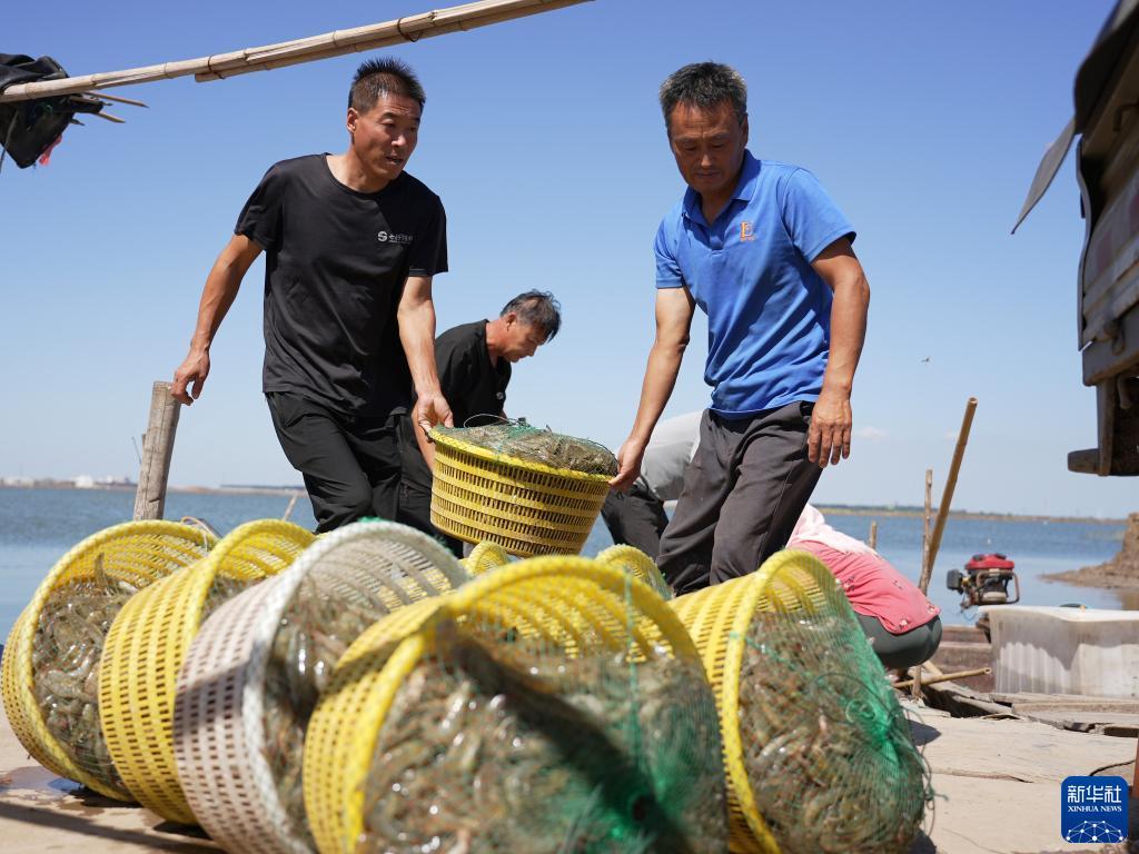 金沙注册送55元体验金